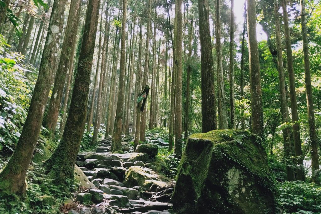 客庄漫遊‧馬武督關西小鎮樂活行一日遊