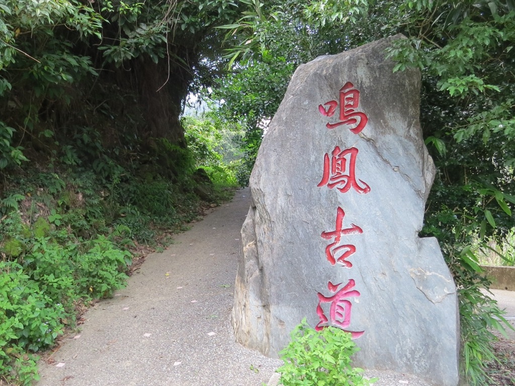 樟之細路-鳴鳳古道‧蓬萊護魚生態步道一日遊(高鐵苗栗站出發)