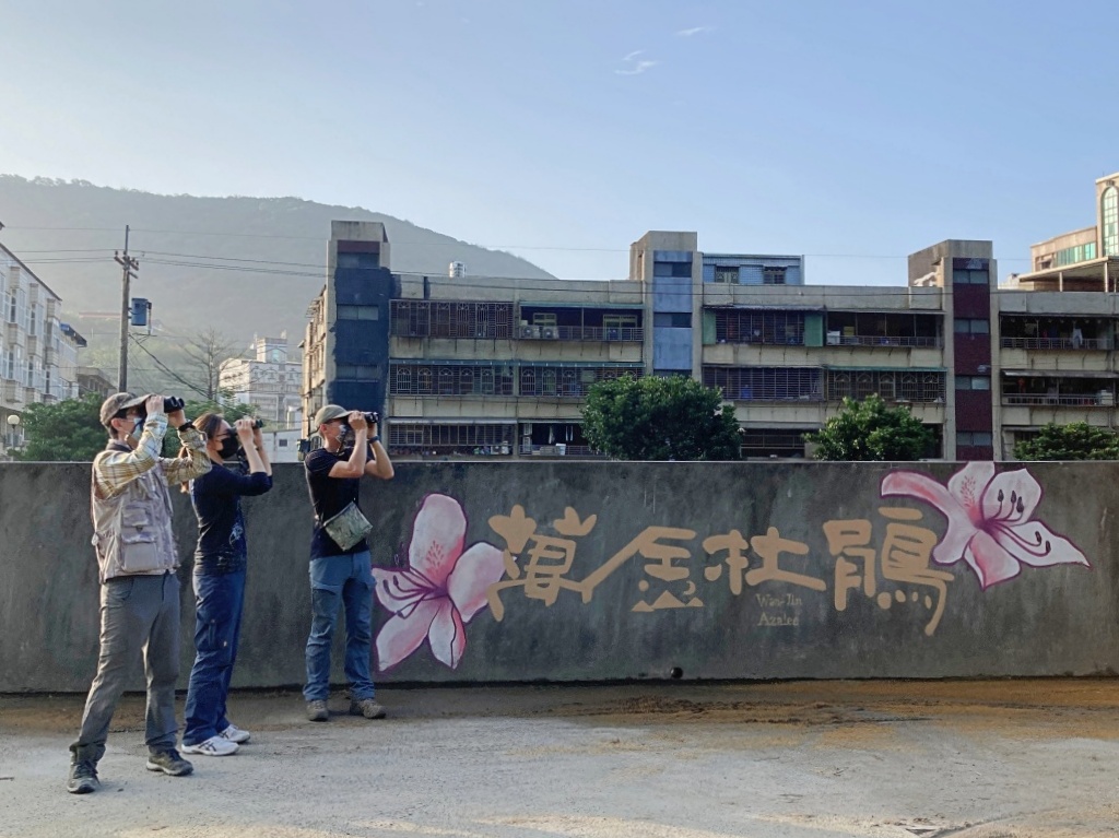 來去農家DO一日~北海追鳶.萬里金山小旅行